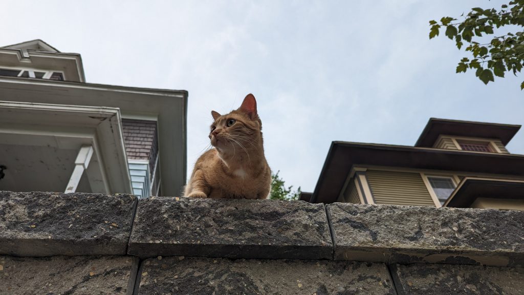 Poe, looking out over her domain.