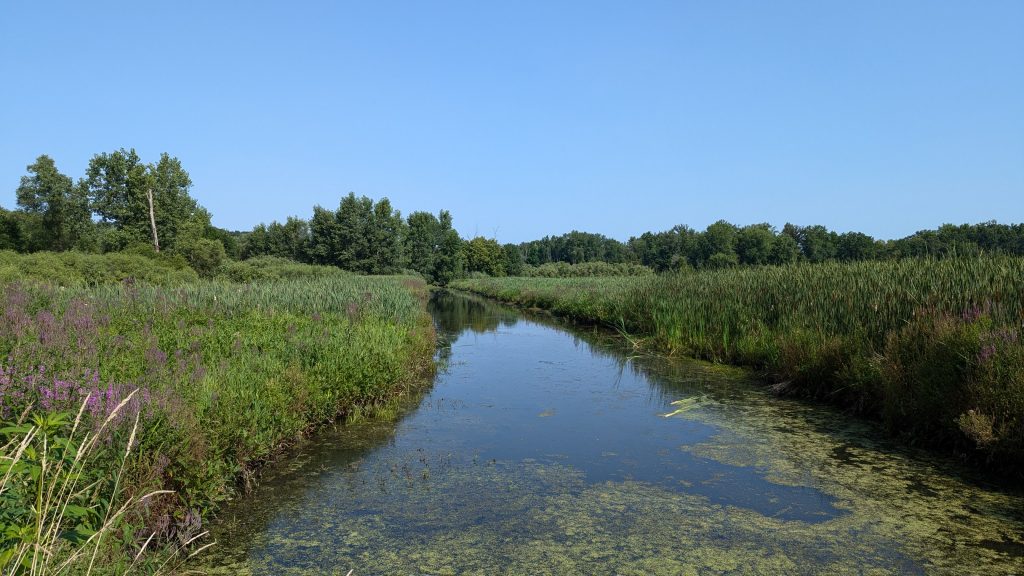 A stream crossing the path at Rosell Park