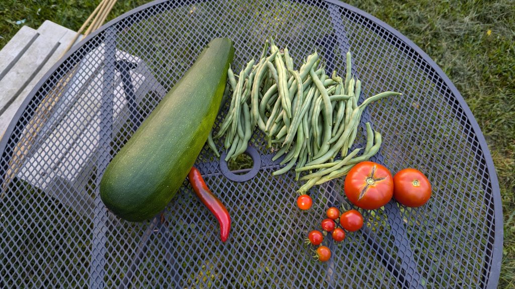 The weekly harvest from our garden.