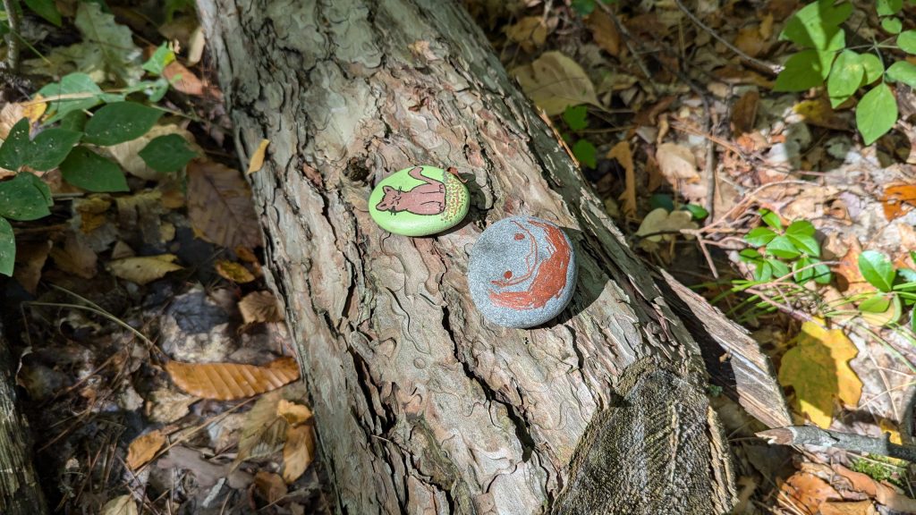 Painted stones fond beside the Dragon Trail at Hardy Dam.