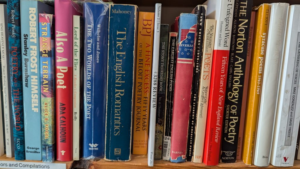 A section of one of the shelves of books in the poetry section at Argos Books and Comics.