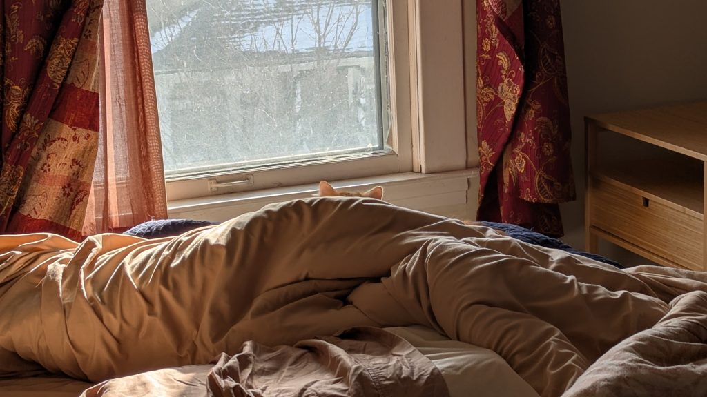 The ears of an orange cat visible over a rumpled pile of bed covers, also orange. In the background a window through which snow-covered houses are visible.